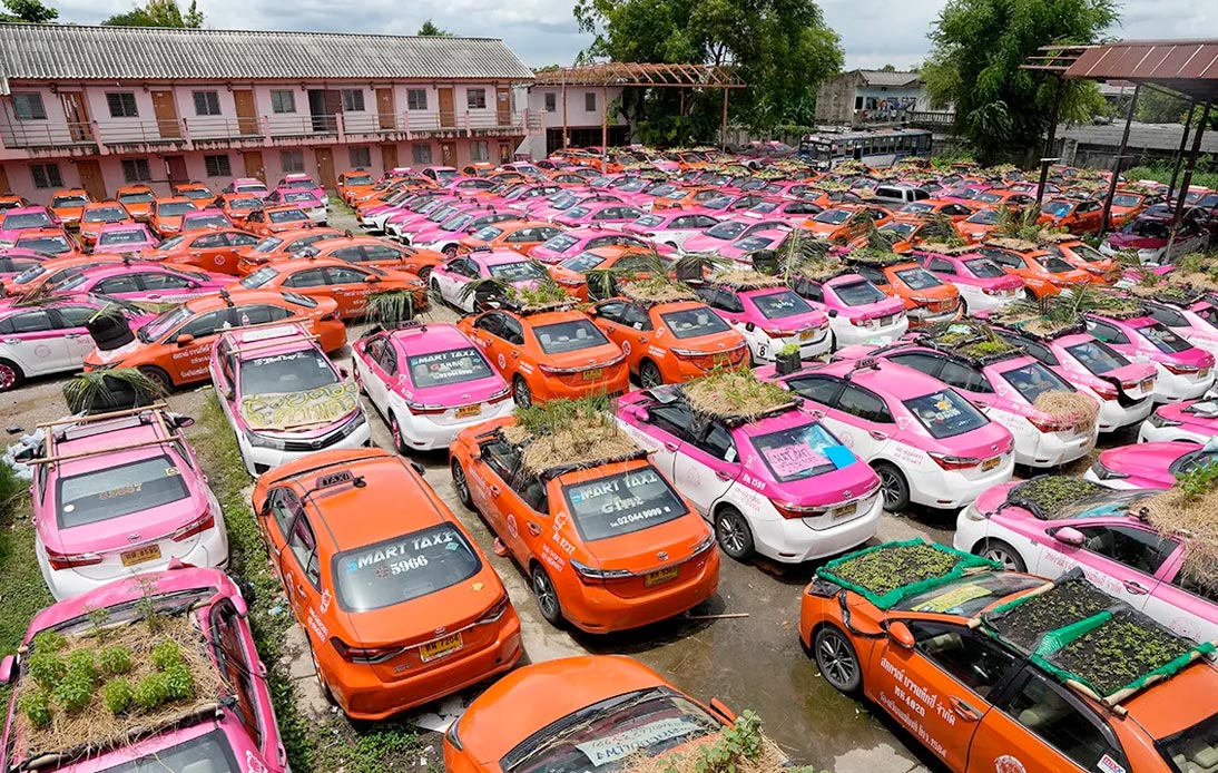 Bangkok’s Idle Taxis Used To Set Up Mini Rooftop Gardens