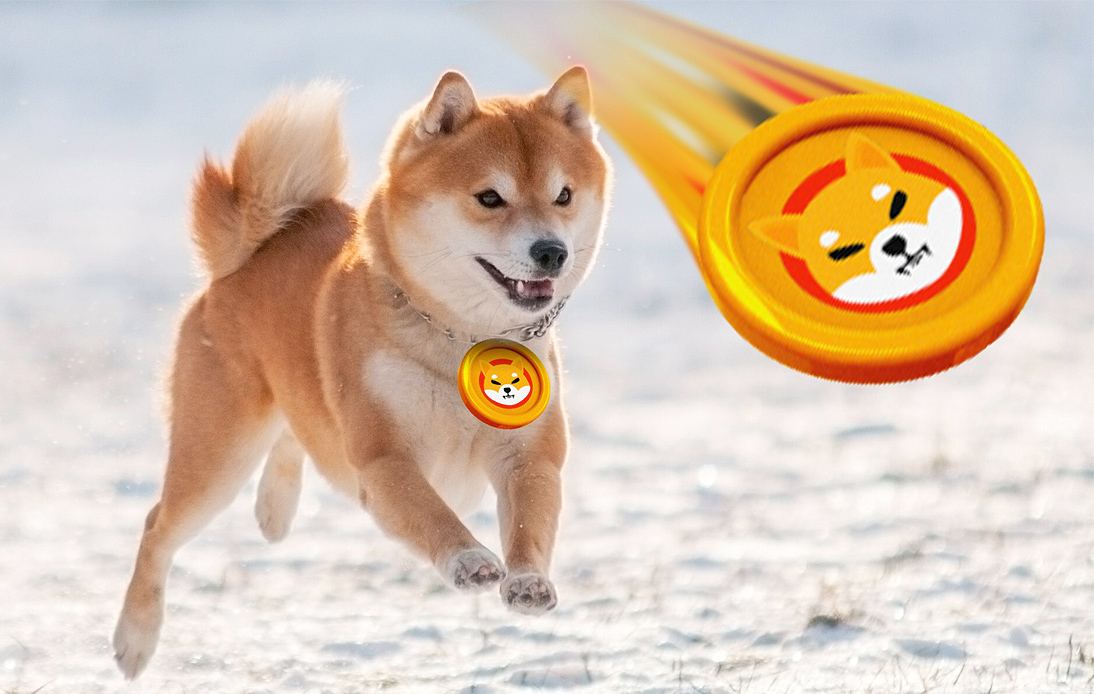 Crypto Coin Shiba Inu Hits All-Time High After Surging 40%