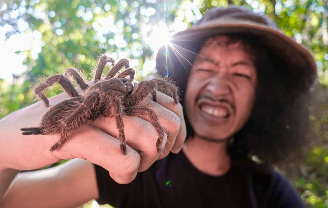 YouTube Star Discovers New Species of Tarantula in Thailand