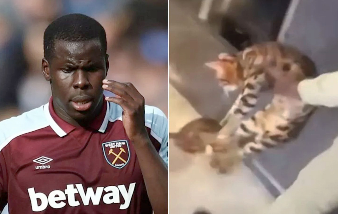 Footballer Kurt Zouma’s Cats Confiscated After Abuse Video