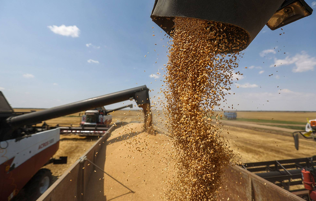 Ukraine and Russia Agree Deal for Grain Shipments To Resume