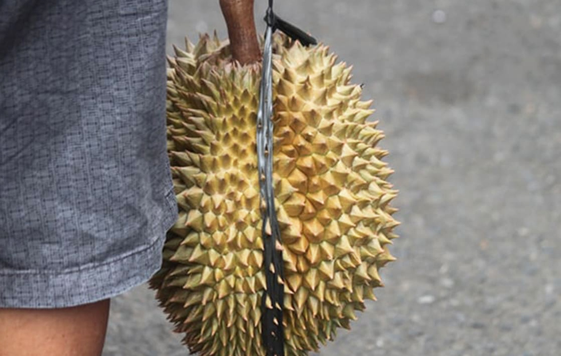 Debt Collector Slaps Woman with Durian, Causing Bloody Face