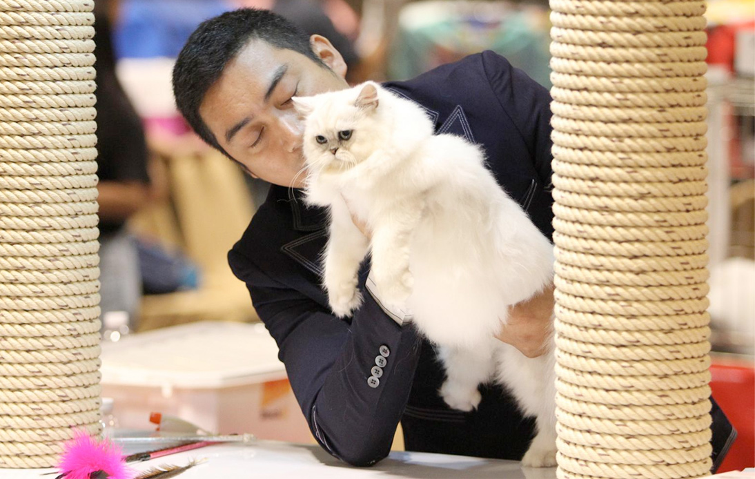 Thailand Cat Show 2023: Feline Lovers Excited for Annual Event