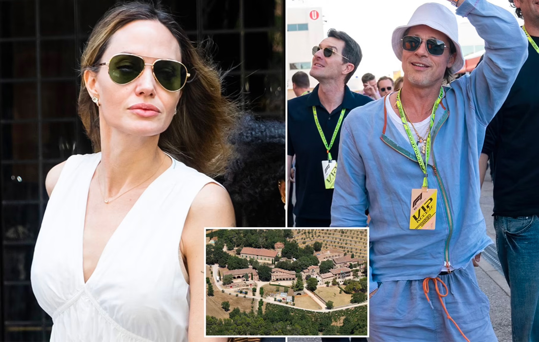 Brad Pitt Is Shocked as Angelina Jolie Sold Their French Vineyard