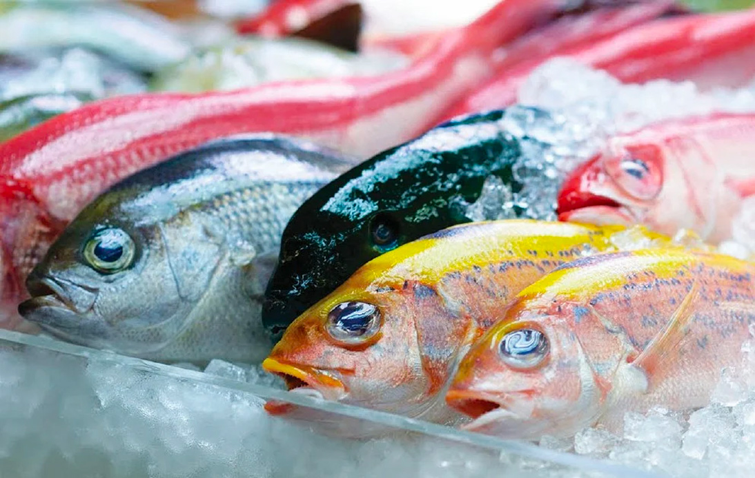 Imported Seafood From Japan Safe for Consumption, Says FDA